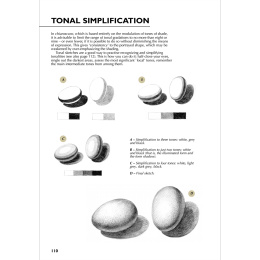 Drawing - A Complete Guide: Nature in de groep Creëren & Hobby / Boeken / Inspiratieboeken bij Voorcrea (136307)