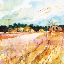 The Innovative Artist: Capturing Light in de groep Creëren & Hobby / Boeken / Instructieboeken bij Voorcrea (136308)