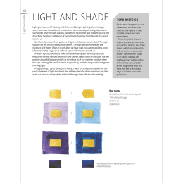 The Innovative Artist: Capturing Light in de groep Creëren & Hobby / Boeken / Instructieboeken bij Voorcrea (136308)