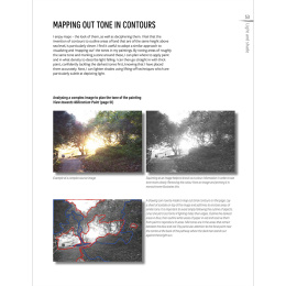 The Innovative Artist: Capturing Light in de groep Creëren & Hobby / Boeken / Instructieboeken bij Voorcrea (136308)