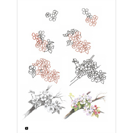 Draw 100: Flowers in de groep Creëren & Hobby / Boeken / Inspiratieboeken bij Voorcrea (136315)