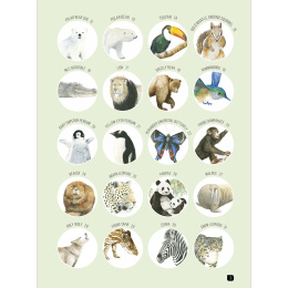 Draw 100: Animals in de groep Creëren & Hobby / Boeken / Inspiratieboeken bij Voorcrea (136316)