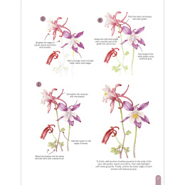 Paint 50: Watercolour Flowers in de groep Creëren & Hobby / Boeken / Instructieboeken bij Voorcrea (136318)