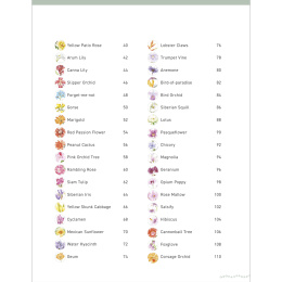 Paint 50: Watercolour Flowers in de groep Creëren & Hobby / Boeken / Instructieboeken bij Voorcrea (136318)