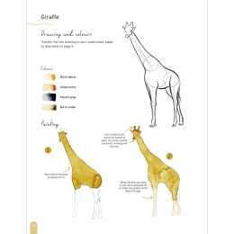 Paint 50: Watercolour Animals in de groep Creëren & Hobby / Boeken / Instructieboeken bij Voorcrea (136319)