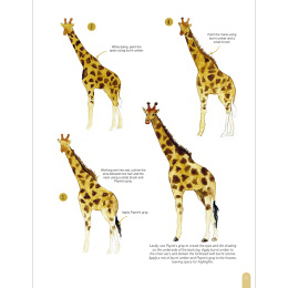 Paint 50: Watercolour Animals in de groep Creëren & Hobby / Boeken / Instructieboeken bij Voorcrea (136319)