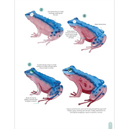 Paint 50: Watercolour Animals in de groep Creëren & Hobby / Boeken / Instructieboeken bij Voorcrea (136319)
