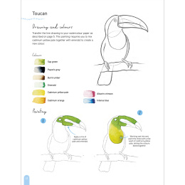 Paint 50: Watercolour Animals in de groep Creëren & Hobby / Boeken / Instructieboeken bij Voorcrea (136319)