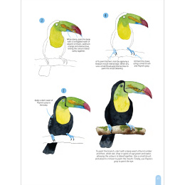 Paint 50: Watercolour Animals in de groep Creëren & Hobby / Boeken / Instructieboeken bij Voorcrea (136319)