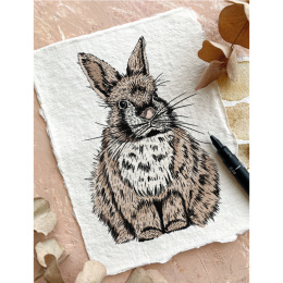 The Kew Book of Drawing Flora and Fauna in de groep Creëren & Hobby / Boeken / Instructieboeken bij Voorcrea (136328)