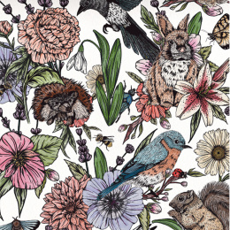 The Kew Book of Drawing Flora and Fauna in de groep Creëren & Hobby / Boeken / Instructieboeken bij Voorcrea (136328)