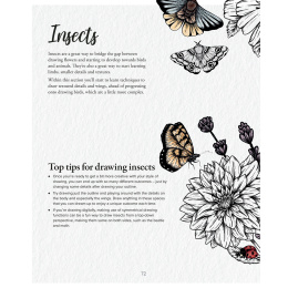 The Kew Book of Drawing Flora and Fauna in de groep Creëren & Hobby / Boeken / Instructieboeken bij Voorcrea (136328)