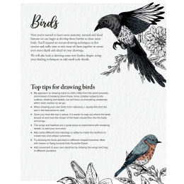 The Kew Book of Drawing Flora and Fauna in de groep Creëren & Hobby / Boeken / Instructieboeken bij Voorcrea (136328)