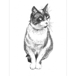 Pen and Ink Drawing Techniques in de groep Creëren & Hobby / Boeken / Inspiratieboeken bij Voorcrea (136330)