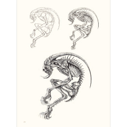 The Art of Fantasy in de groep Creëren & Hobby / Boeken / Inspiratieboeken bij Voorcrea (136331)