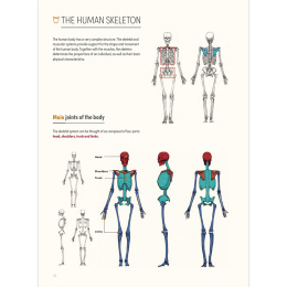 The Art of Fantasy in de groep Creëren & Hobby / Boeken / Inspiratieboeken bij Voorcrea (136331)