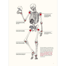 The Art of Fantasy in de groep Creëren & Hobby / Boeken / Inspiratieboeken bij Voorcrea (136331)