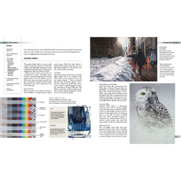 Complete Guide to Acrylics in de groep Creëren & Hobby / Boeken / Instructieboeken bij Voorcrea (136334)