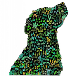 Draw Tiny & Make Great Art in de groep Creëren & Hobby / Boeken / Inspiratieboeken bij Voorcrea (136335)