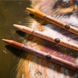 Pastelkleurpotloodset 48-delig in de groep Pennen / Kunstenaarspotloden en -stiften / Pastelpotloden bij Voorcrea (136580)