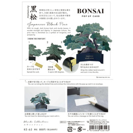 Bonsai pop-up kaart (Japanese black pine) in de groep Creëren & Hobby / Feestdagen en seizoenen / Kaarten en enveloppen bij Voorcrea (136616)