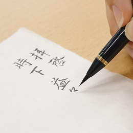 Penseelpen Fude Pen Fukurou in de groep Pennen / Kunstenaarspotloden en -stiften / Brushpennen bij Voorcrea (136646)