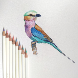 Irojiten Kleurpotlood per stuk in de groep Pennen / Kunstenaarspotloden en -stiften / Kleurpotloden bij Voorcrea (136687_r)