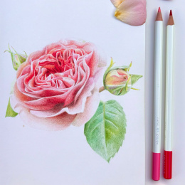 Irojiten Kleurpotlood per stuk in de groep Pennen / Kunstenaarspotloden en -stiften / Kleurpotloden bij Voorcrea (136687_r)