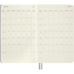 Kalender 18M WeekNote Hard Cover Large Alice in Wonderland in de groep Papier & Blokken / Kalenders en agenda's / 18 maanden agenda's bij Voorcrea (137025)