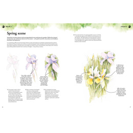 Learn to Draw in an Hour a Day in de groep Creëren & Hobby / Boeken / Instructieboeken bij Voorcrea (137176)