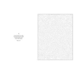 Mystery Coloring Mandalas in de groep Creëren & Hobby / Boeken / Kleurboeken voor volwassenen bij Voorcrea (137182)