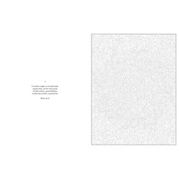 Mystery Coloring Mandalas in de groep Creëren & Hobby / Boeken / Kleurboeken voor volwassenen bij Voorcrea (137182)