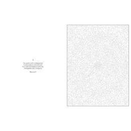 Mystery Coloring Mandalas in de groep Creëren & Hobby / Boeken / Kleurboeken voor volwassenen bij Voorcrea (137182)