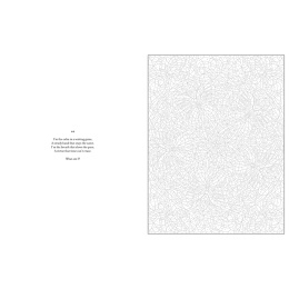 Mystery Coloring Mandalas in de groep Creëren & Hobby / Boeken / Kleurboeken voor volwassenen bij Voorcrea (137182)