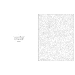 Mystery Coloring Wild Animals in de groep Creëren & Hobby / Boeken / Kleurboeken voor volwassenen bij Voorcrea (137183)