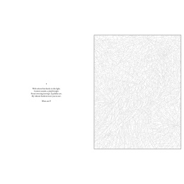 Mystery Coloring Wild Animals in de groep Creëren & Hobby / Boeken / Kleurboeken voor volwassenen bij Voorcrea (137183)