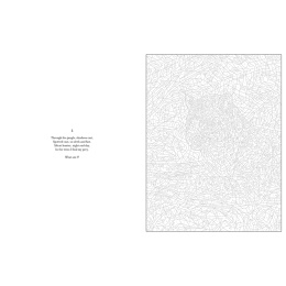 Mystery Coloring Wild Animals in de groep Creëren & Hobby / Boeken / Kleurboeken voor volwassenen bij Voorcrea (137183)