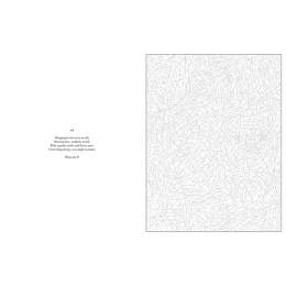 Mystery Coloring Wild Animals in de groep Creëren & Hobby / Boeken / Kleurboeken voor volwassenen bij Voorcrea (137183)