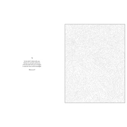 Mystery Coloring Wild Animals in de groep Creëren & Hobby / Boeken / Kleurboeken voor volwassenen bij Voorcrea (137183)