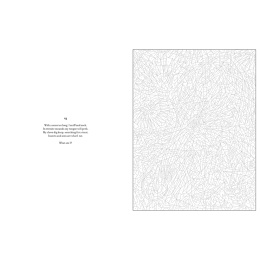 Mystery Coloring Wild Animals in de groep Creëren & Hobby / Boeken / Kleurboeken voor volwassenen bij Voorcrea (137183)