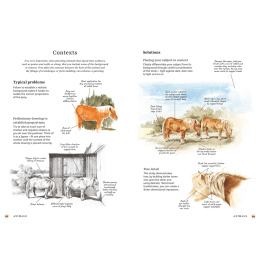 The Bedside Book of Watercolor Wisdom in de groep Creëren & Hobby / Boeken / Inspiratieboeken bij Voorcrea (137186)