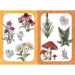 10 Step Drawing: Botanicals in de groep Creëren & Hobby / Boeken / Instructieboeken bij Voorcrea (137196)