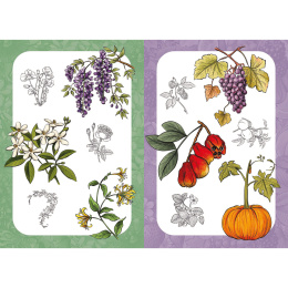 10 Step Drawing: Botanicals in de groep Creëren & Hobby / Boeken / Instructieboeken bij Voorcrea (137196)