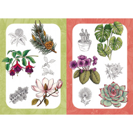 10 Step Drawing: Botanicals in de groep Creëren & Hobby / Boeken / Instructieboeken bij Voorcrea (137196)