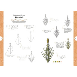 10 Step Drawing: Botanicals in de groep Creëren & Hobby / Boeken / Instructieboeken bij Voorcrea (137196)
