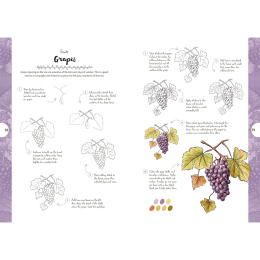 10 Step Drawing: Botanicals in de groep Creëren & Hobby / Boeken / Instructieboeken bij Voorcrea (137196)