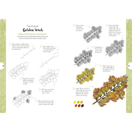 10 Step Drawing: Botanicals in de groep Creëren & Hobby / Boeken / Instructieboeken bij Voorcrea (137196)
