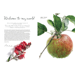 Anna Mason's Watercolour World in de groep Creëren & Hobby / Boeken / Inspiratieboeken bij Voorcrea (137202)