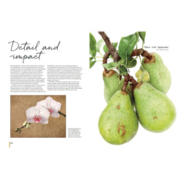 Anna Mason's Watercolour World in de groep Creëren & Hobby / Boeken / Inspiratieboeken bij Voorcrea (137202)