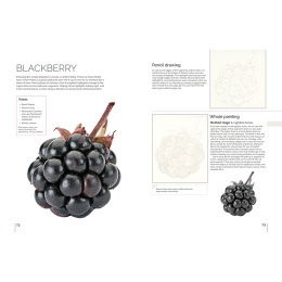 Anna Mason's Watercolour World in de groep Creëren & Hobby / Boeken / Inspiratieboeken bij Voorcrea (137202)